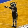 rio's profile picture