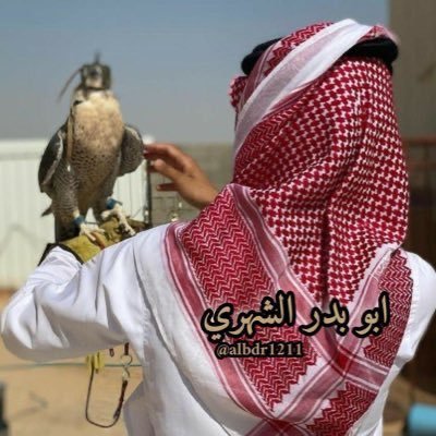 507Zuhair's profile picture
