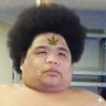 かみそり超養分's profile picture