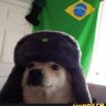 Profilbild von Dog_Katana