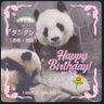 Profilbild von メー