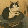 Profilbild von プロ紐ニート ピンフくん