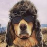 Michael Baronas's profile picture