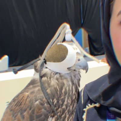 ASMAKMK's profile picture