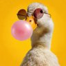 TheAyupDuck profil fotoğrafı