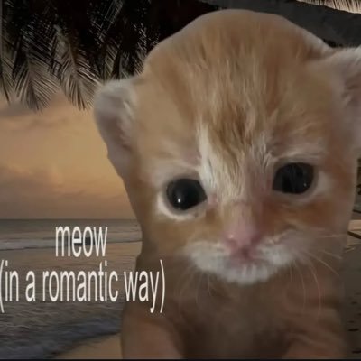 ᵈᵒᵗ's profile picture
