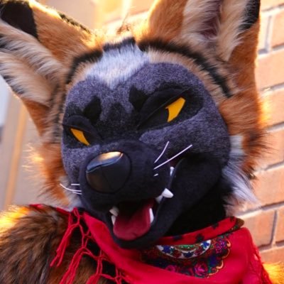 𝐂𝐚𝐫𝐦𝐞𝐧 🔜 FWA's profile picture