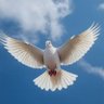 Jesus Christ is my Saviour, John 14 : 6's profile picture