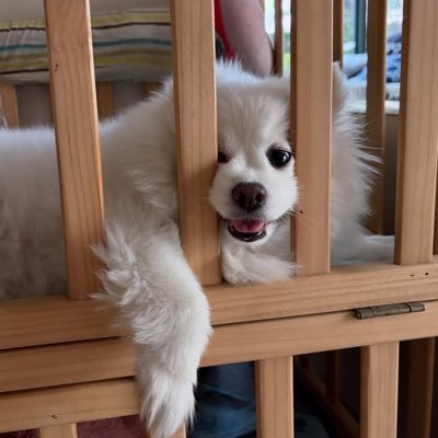 babynongaim รับหิ้วญี่ปุ่น17-23เมษา's profile picture