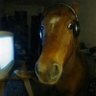 Profilbild von Jmoreno