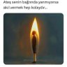 Фото профиля Ruşen Yüceer