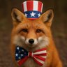 Foxfur1776 的头像