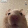 Profilbild von Jason