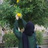 Фото профиля خطوآتہ ۦٰ