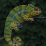 Фото профиля Camaleón