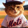 Mike's profile picture