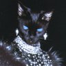 Sofia's profile picture