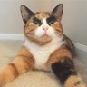 あきんこさん profil fotoğrafı