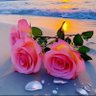 GÜN_İST_34🌷🪷🌷's profile picture