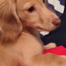 やす profil fotoğrafı
