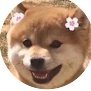 意中人's profile picture