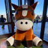 うぃん's profile picture