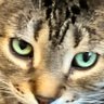 Billiam Will's profile picture