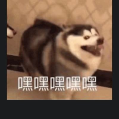 yubaosissy's profile picture