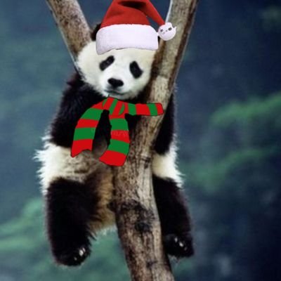 Pasi_Edukuthu's profile picture