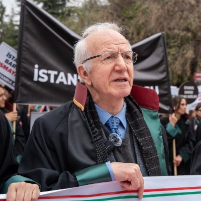 İbrahim Kaboğlu's profile picture