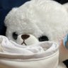 『ゴン』ﾁｬﾝ 的头像