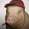 Shifty Powers's profile picture