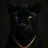 John Panther profil fotoğrafı