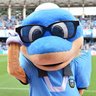 らいあん🐬 的头像