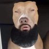 Profilbild von Stephon Vlogs