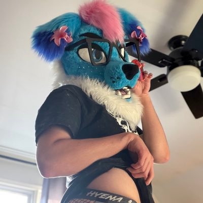 Hex Hole's profile picture
