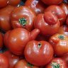 Фото профиля TomaTito Saliente