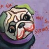 gaso's profile picture