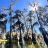 Heritage Cajun profil fotoğrafı