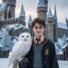 Profilbild von Seyed Harry potter