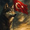 Caner 🇹🇷 🦁's profile picture