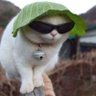tt 的头像