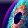 adj ebitah profil fotoğrafı