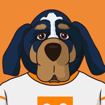 VolsMuse's profile picture