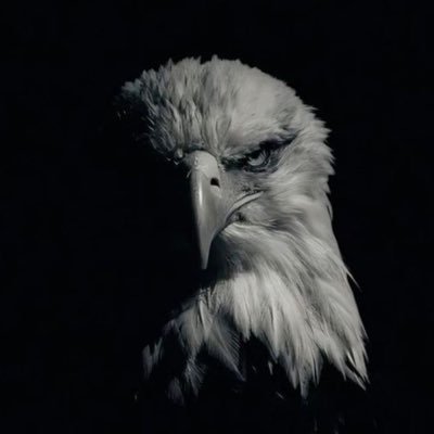 kitsunee_1's profile picture