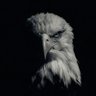 Tarık's profile picture