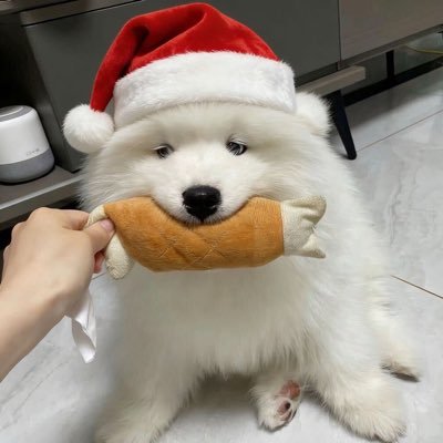 boboMM6666's profile picture