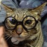 長尾仁志's profile picture