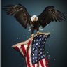 Bold Eagle's profile picture