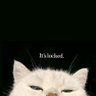 akak's profile picture